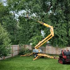 Why Choose Our Tree Removal Services in Sweeny, TX?